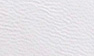 White Leather