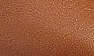 Tan Leather
