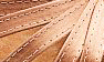 Bronze Satin
