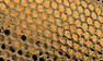Fish Gold