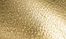 Gold Leather