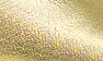 Gold Leather