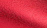 Red Leather