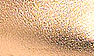 Peach Synthetic