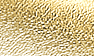 Gold Synthetic