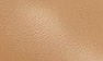 Tan Leather