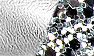 Silver Kid/Silver Sl01