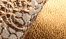 Beige Lace Suede/Bronze Kid