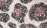 Brown Leopard Glitter