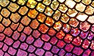 Rainbow Leather