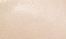 Tan Leather