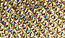 Gold Rainbow