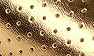 Gold Coag