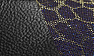 Black Leather/Illusion