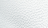White Coag