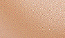 Flesh Leather
