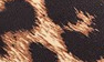 Tan Leopard