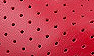 Red Leather