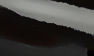 Black_Patent