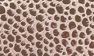 Antik-Beige Print