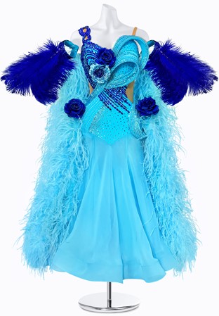 Celestial Flight Ballroom Gown BS-B250011