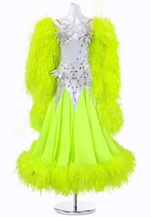 Radiant Alloy Ballroom Gown BS-B250015