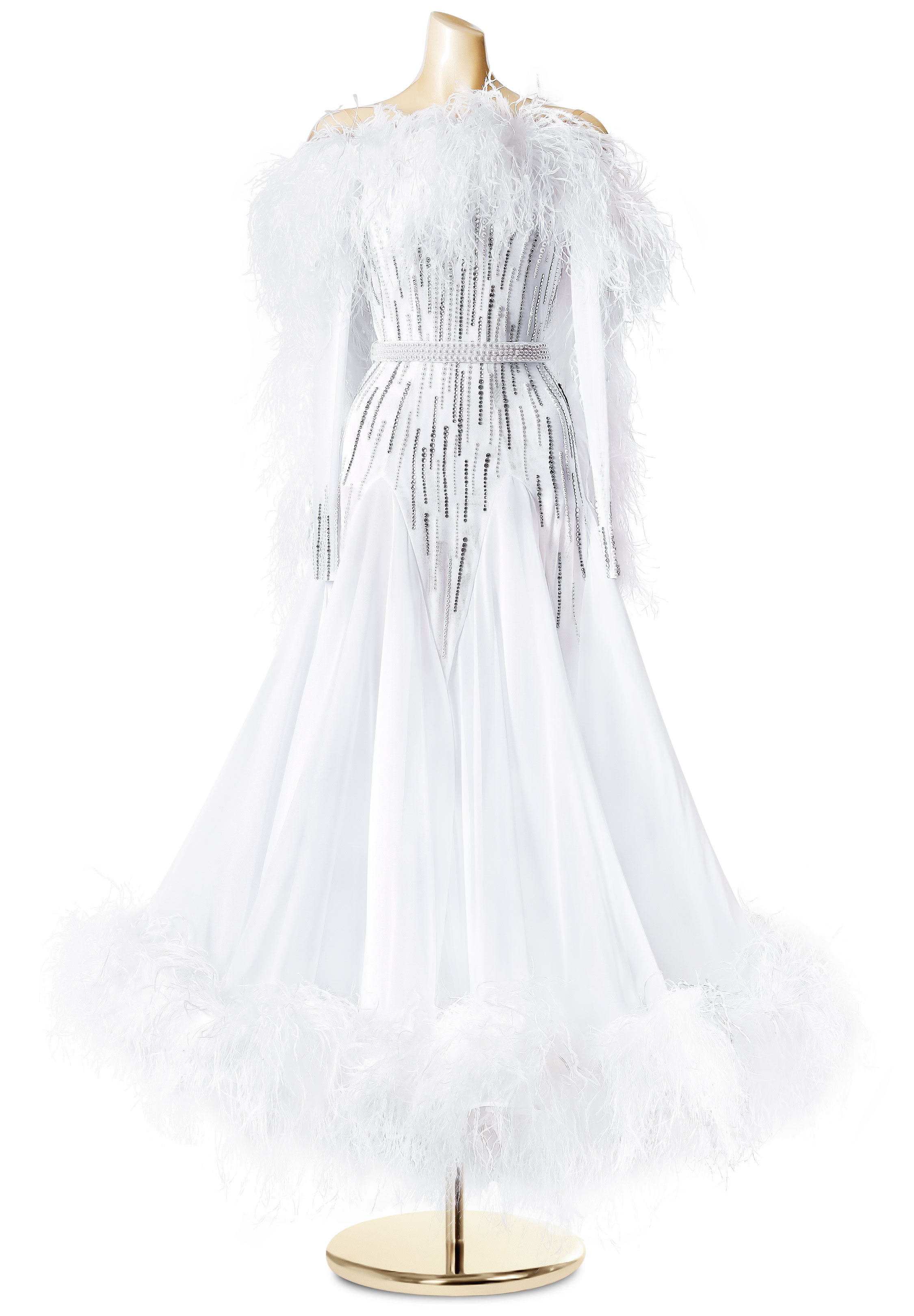 Feather Angel Full Skirt Ballroom Dress PC-WB19151