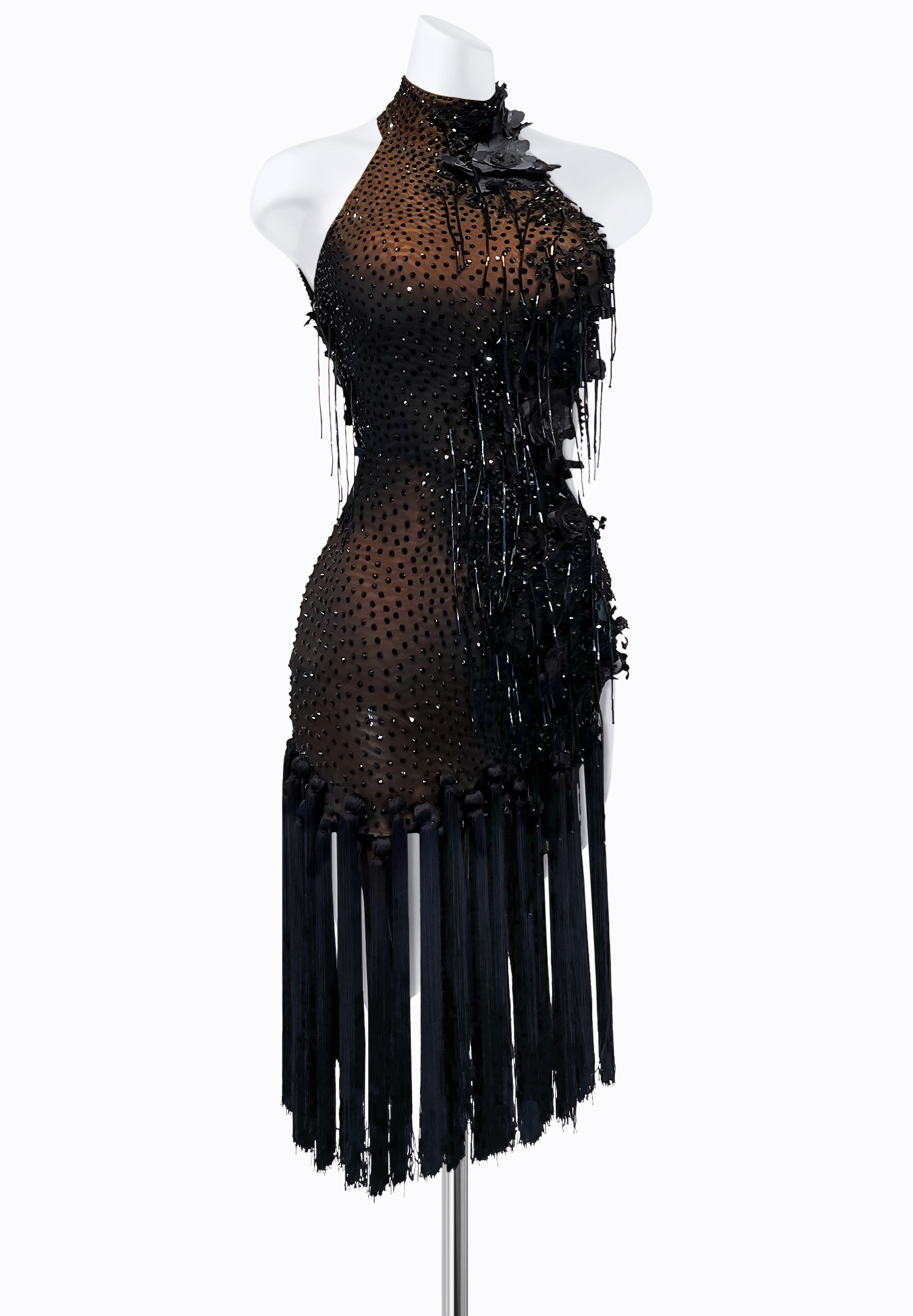 Flashy Tassel Latin Dress PR-L225083