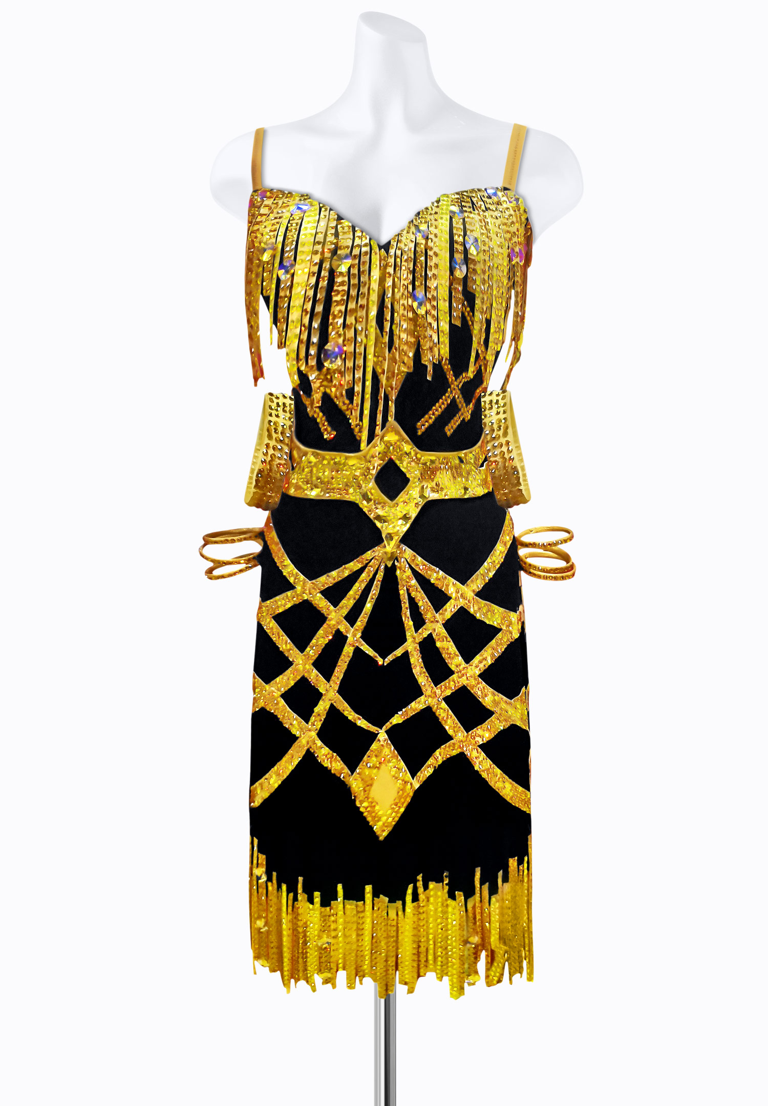 Gleaming Fringe Latin Dress AM-L3234