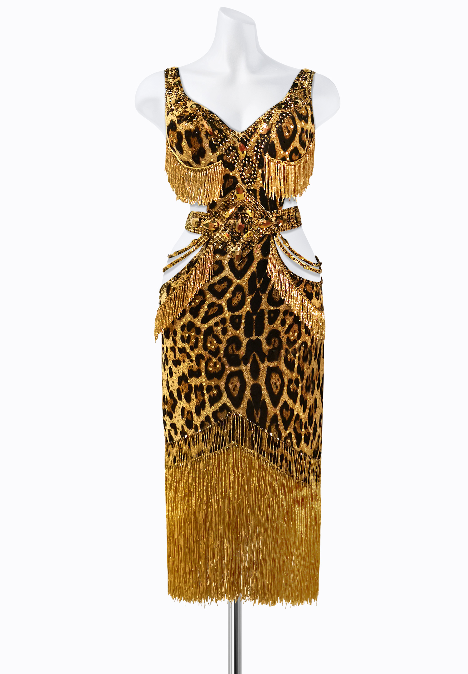 Jaguar Fringe Latin Dress AM-L3428