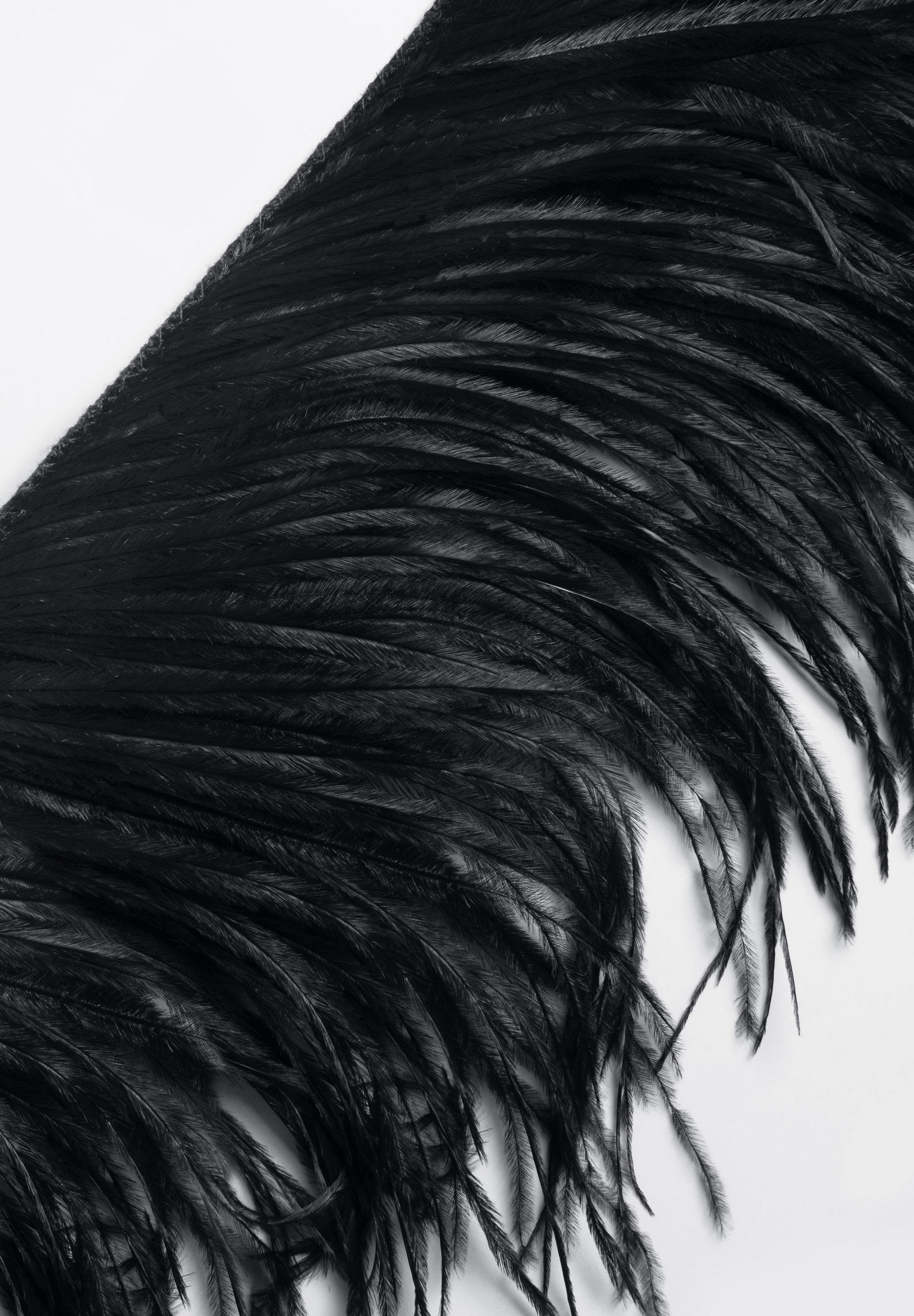 DSI 2294 1 Ply Feather Fringe