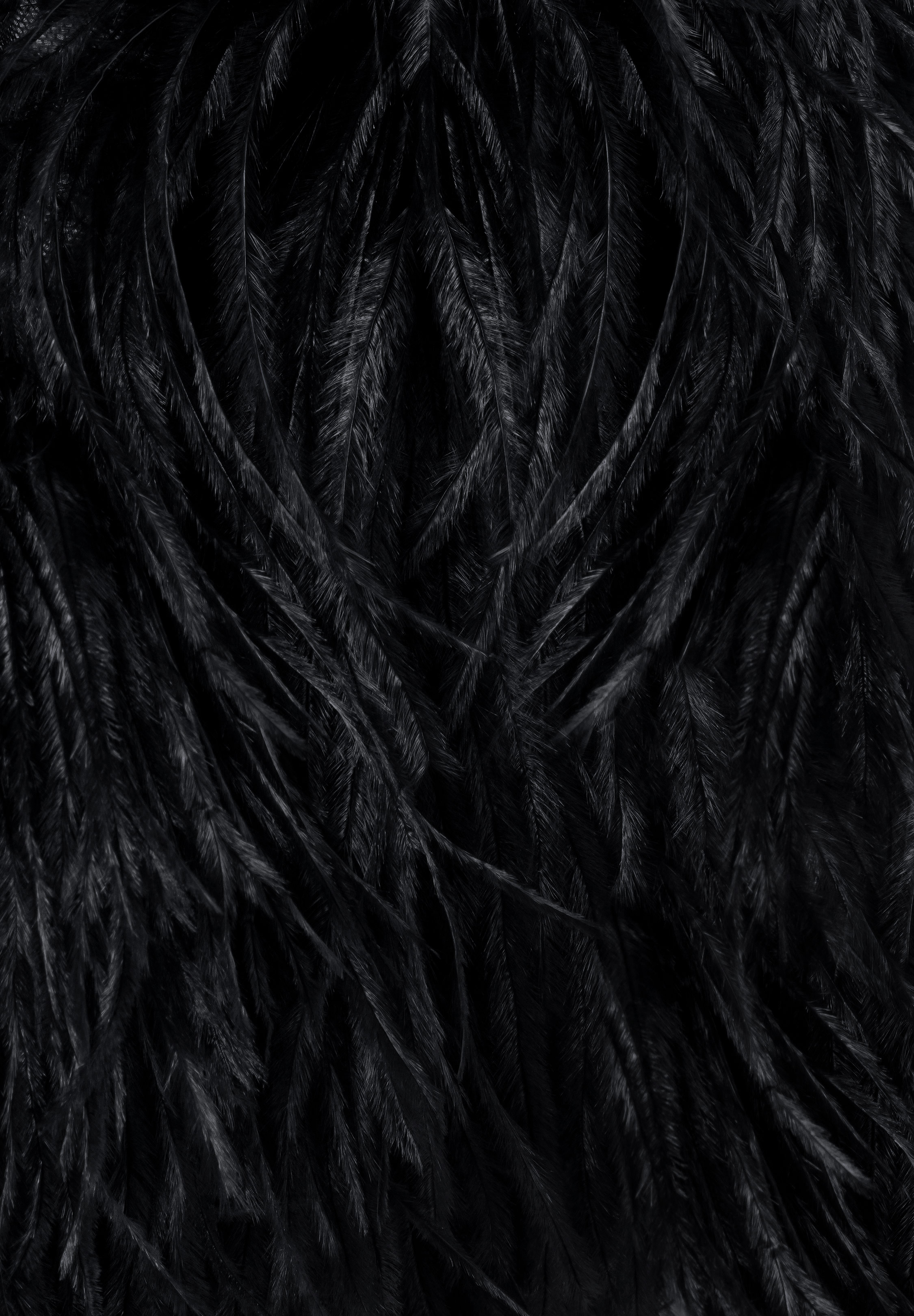 DSI 2295 5 Ply Ostrich Feather Boa