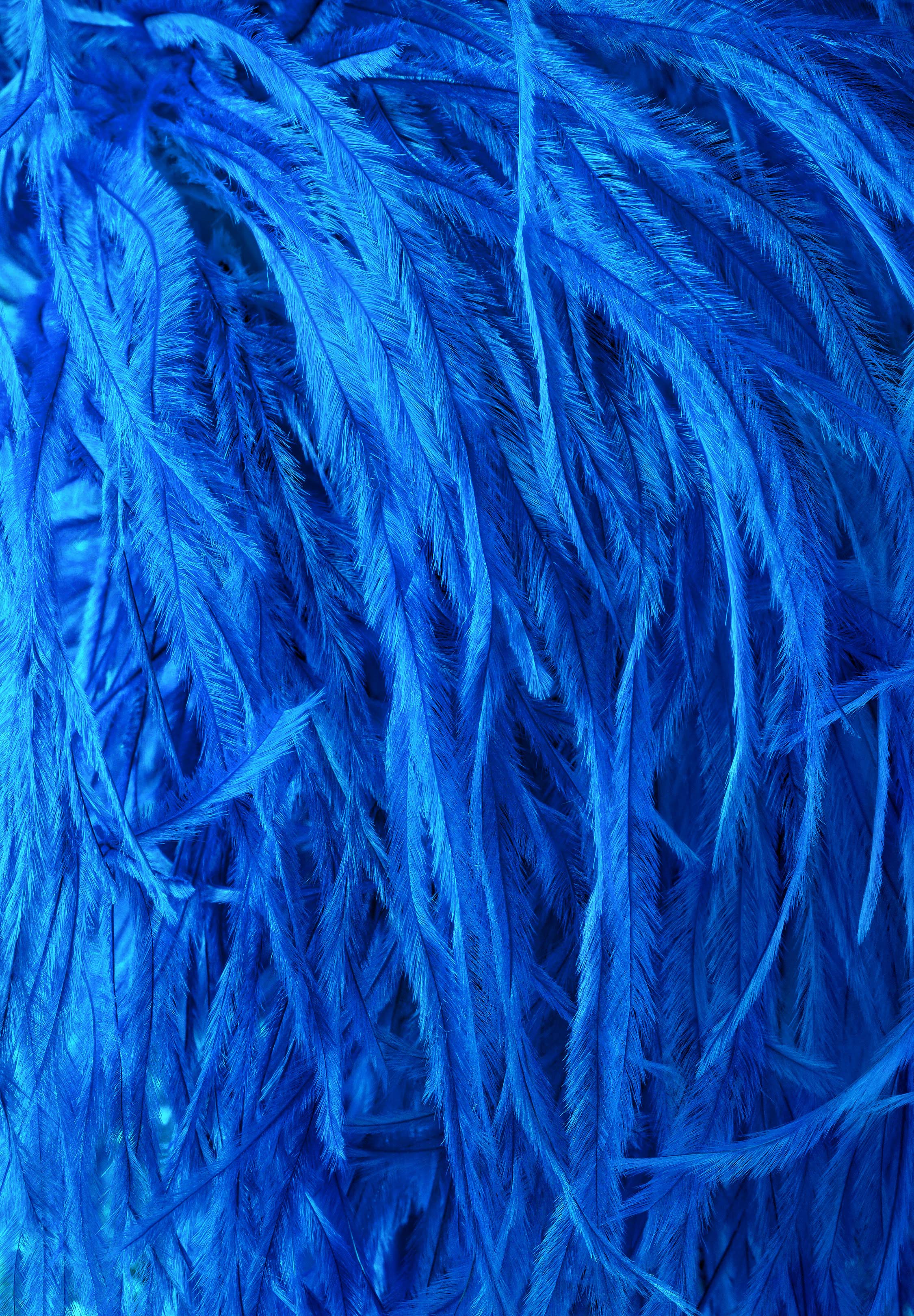 Chrisanne Clover Pure Ostrich Lux 6 Ply Boa