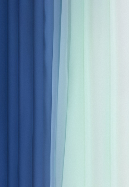 DSI Shaded Georgette 1149