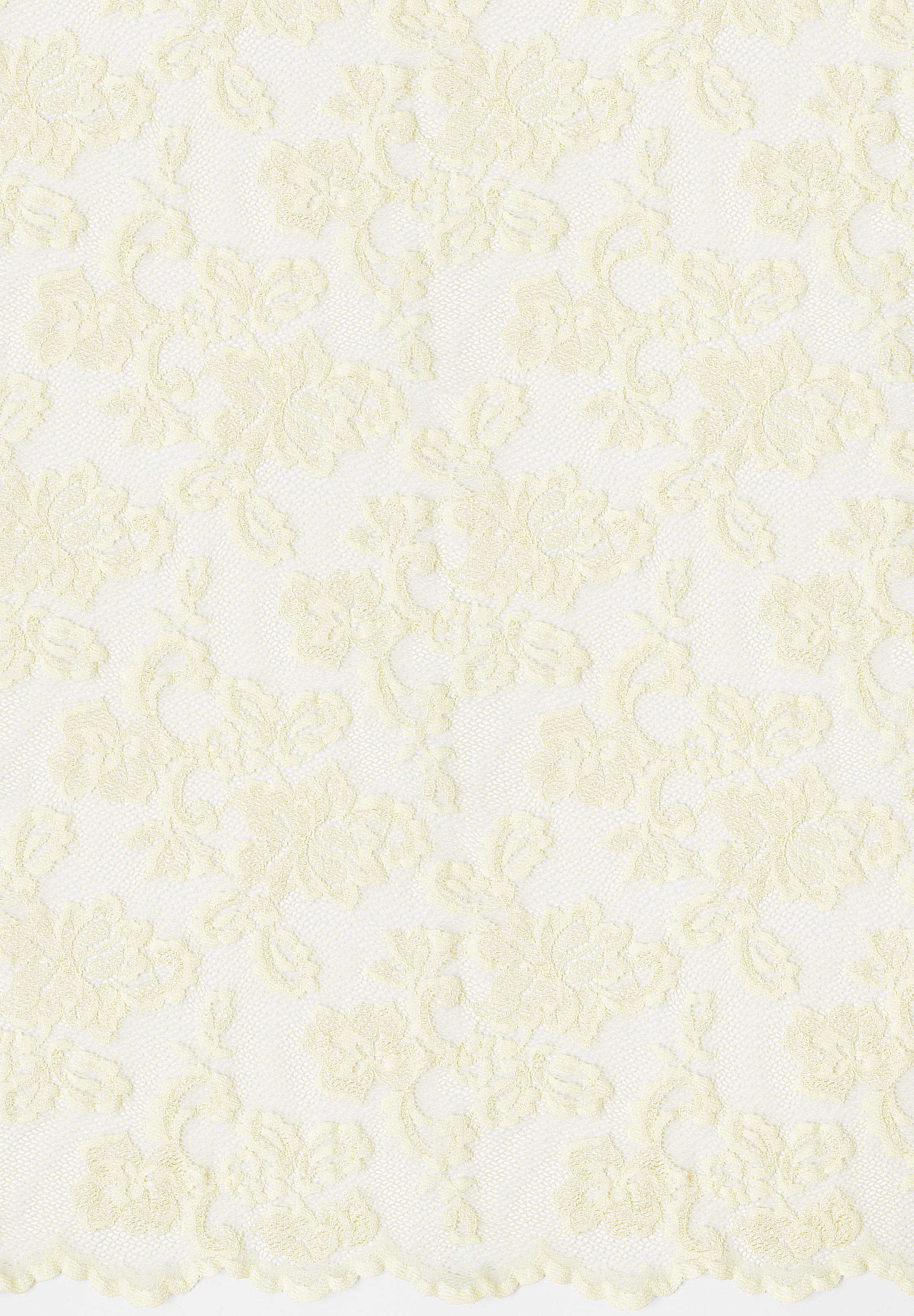 DSI Jasmine Stretch Lace 1522