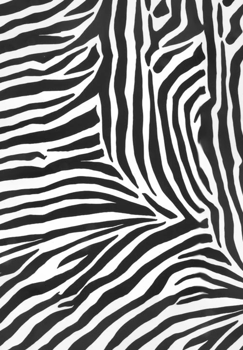 DSI Zebra Print on Lycra 1224