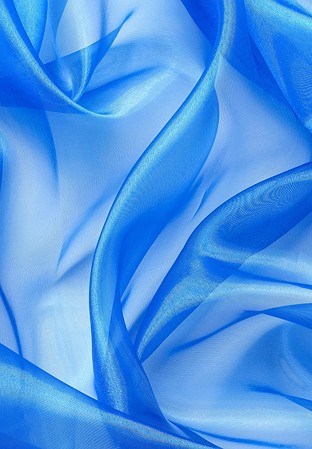 Chrisanne Clover Crystal Organza