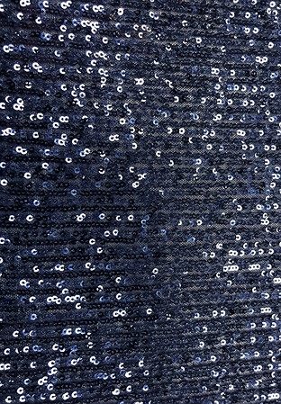 Chrisanne Clover Maze Sequin Jersey